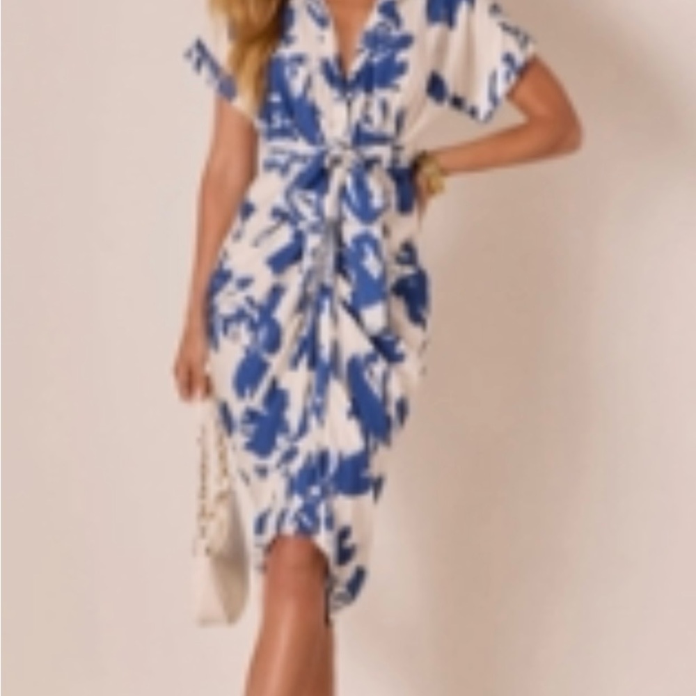 Vici Blue and White Floral Dress